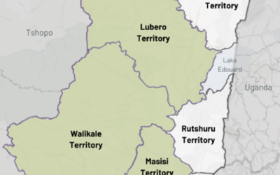 Ongoing situation in North and South Kivu Province, DRC
