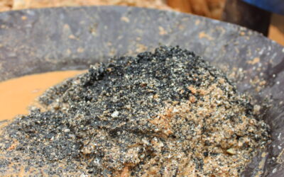 Quarterly membership update Q3 2025